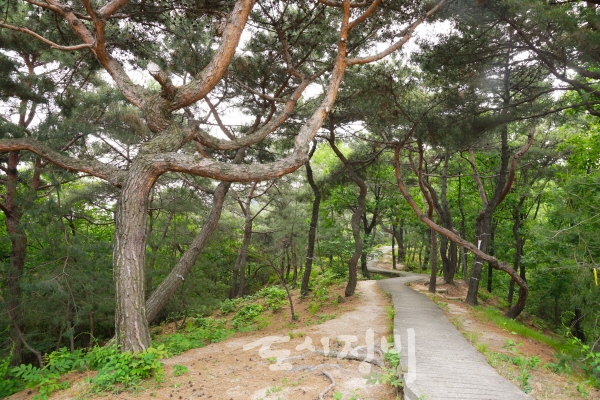 서울 의릉